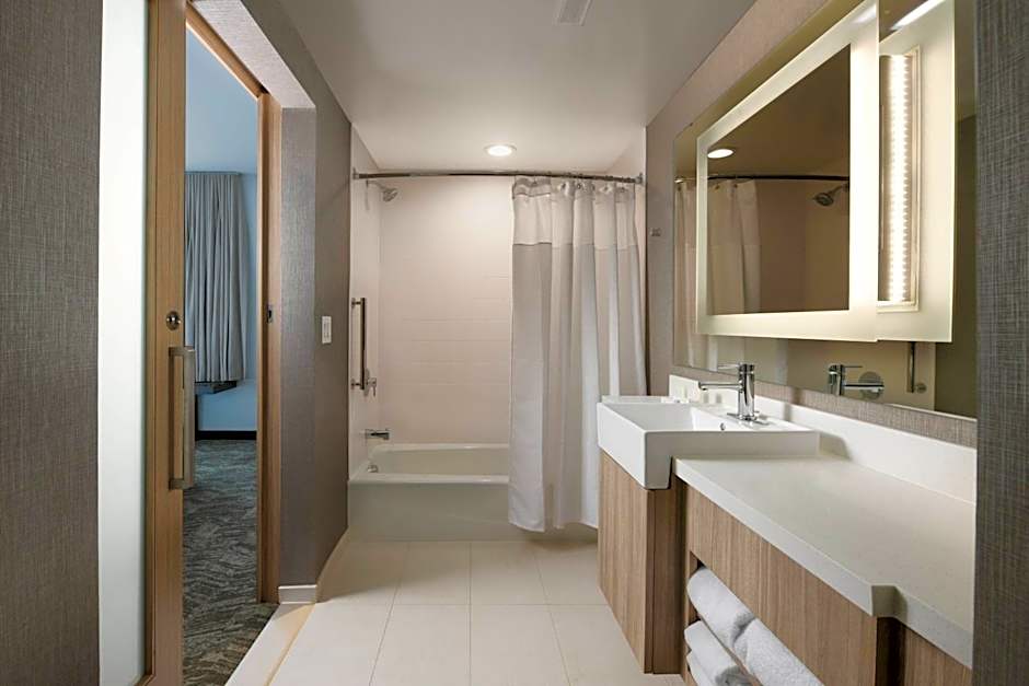 SpringHill Suites by Marriott Dallas DFW Airport South Centreport