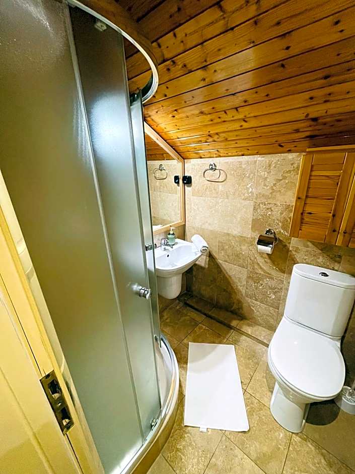 Downtown Apartments with shared kitchen