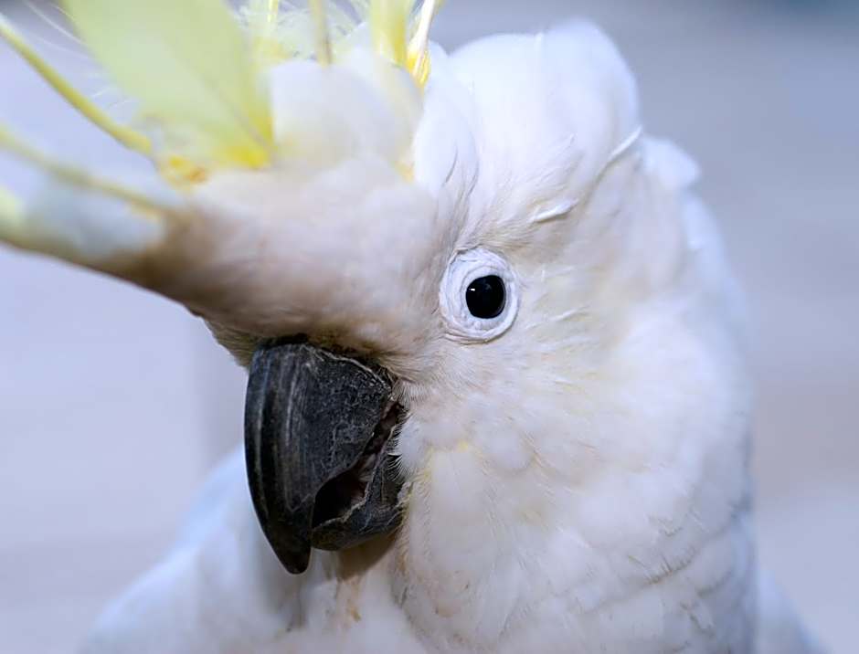 Clifton Sands Holiday Units