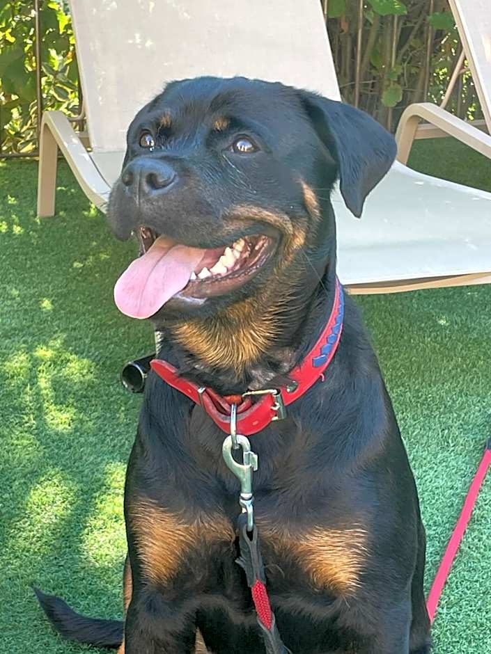 LE DOMAINE DE GORNETON