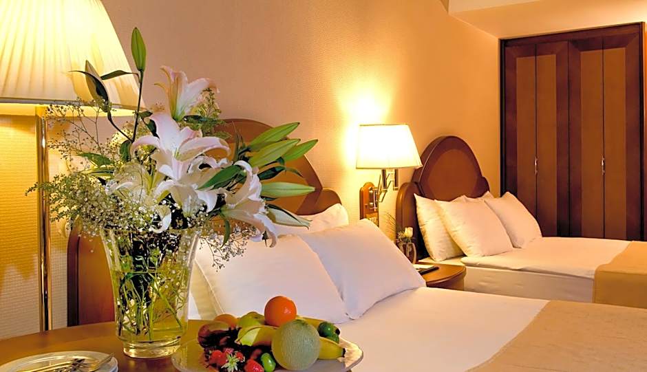 Altinel Ankara Hotel & Convention Center