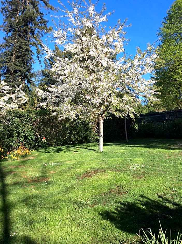 Les Chambres D'oriane