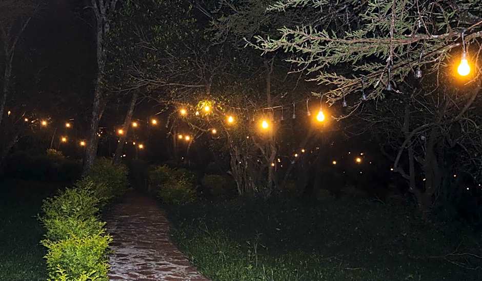 Drunken Elephant Mara