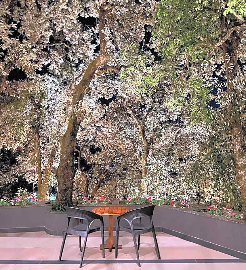 Rosefinch Sarovar Portico Bhimtal