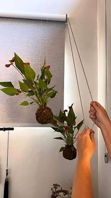 Cabanas da Mata - Cabana Candeia - Casa Branca/MG