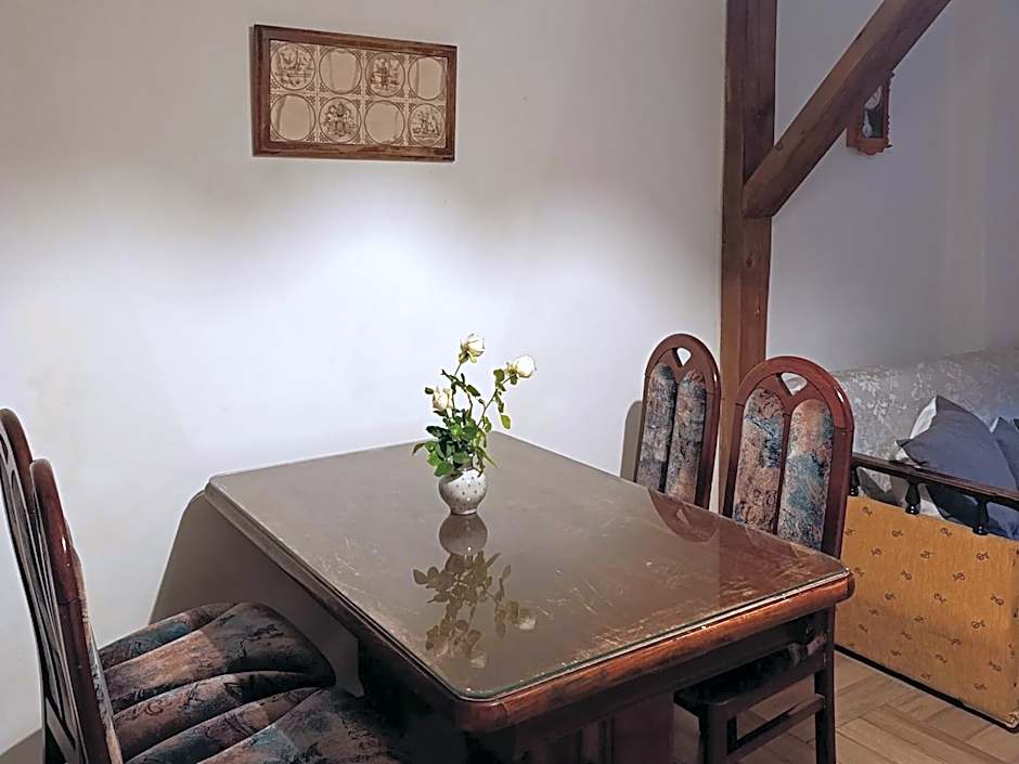 Apartments " VINTAGE " Teplice