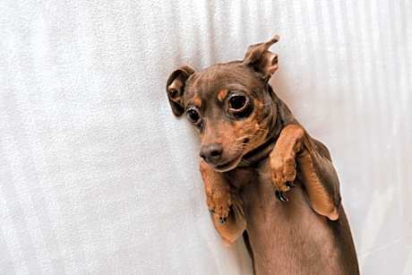 Double or Twin Room with New Year Eve Package