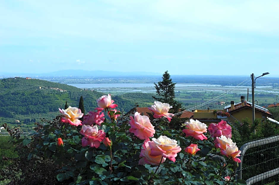 B&B Il Trebbio