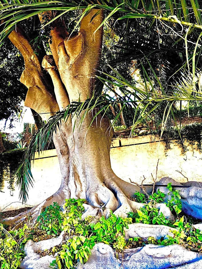 Albufeira Jardim - Apartamentos Turísticos