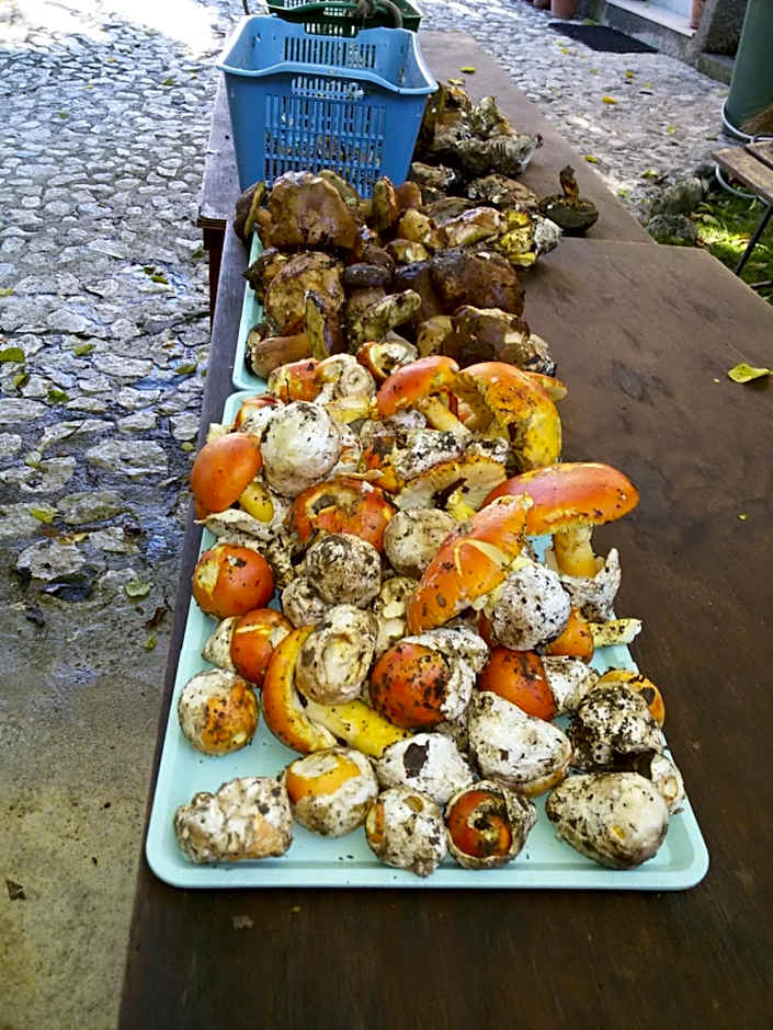 Agriturismo Macchiapiede