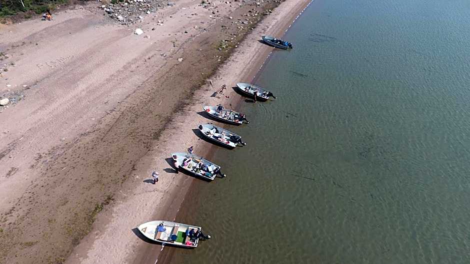 Yellow Dog Lodge, Inc.