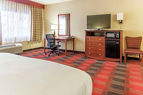 Large King Room with Sofa Bed