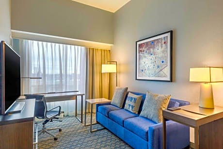 Studio, 1 King, Sofa bed, City view