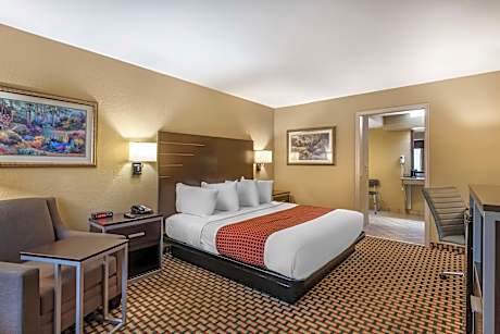 1 King Bed, Mobility Accessible, Bathtub, Smoking Room, Continental Breakfast