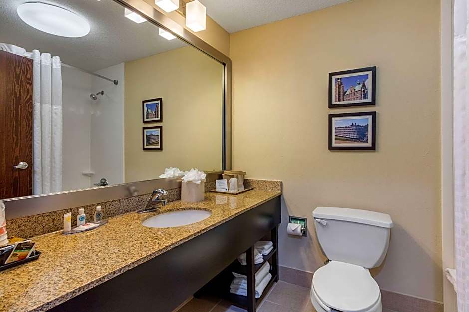 Comfort Inn Horn Lake - Southaven