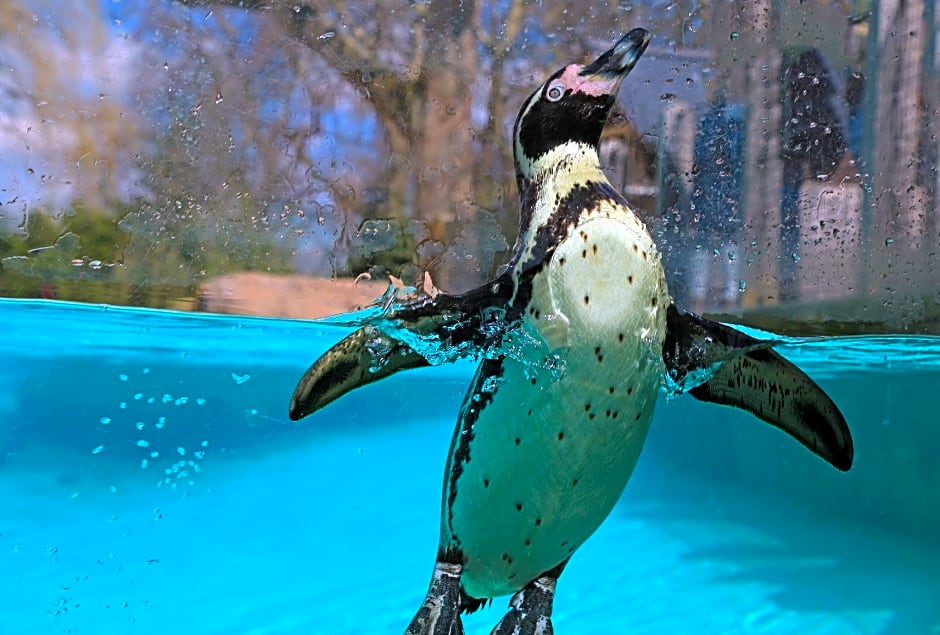 London Queens Apartments