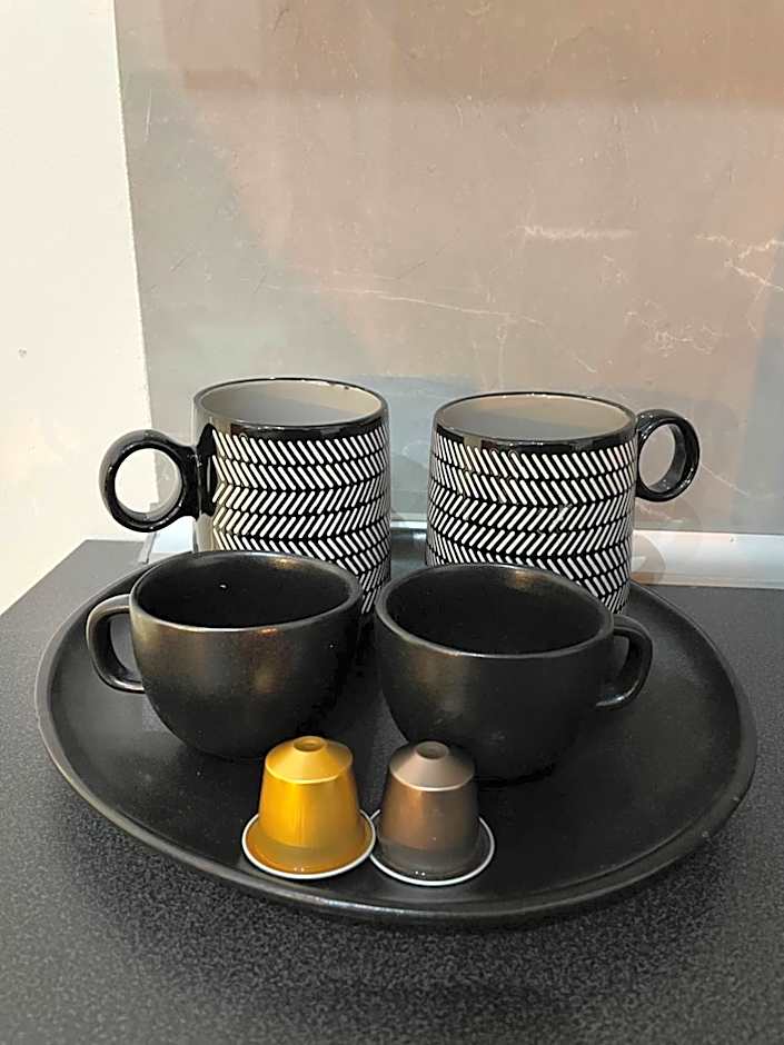 PALAZZO FIACCADORI - Historical Palace