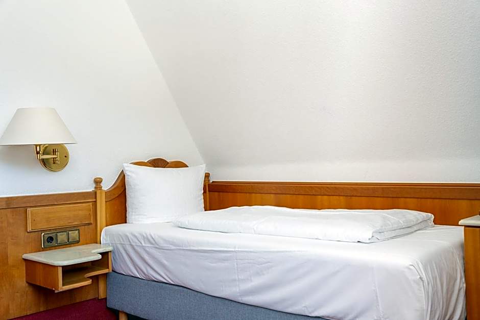 Hotel zum Ritter St Georg - Oldest Residential Building in Heidelberg since 1592