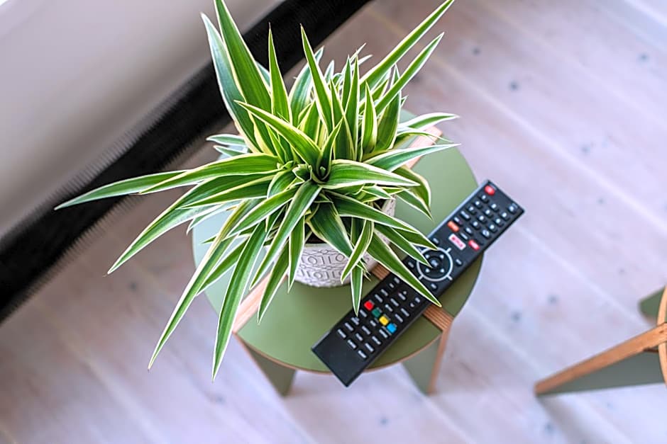 Prinsengracht Canal Studios