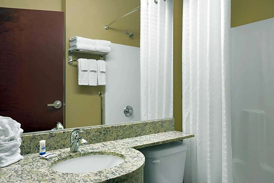 Microtel Inn & Suites By Wyndham Carrollton