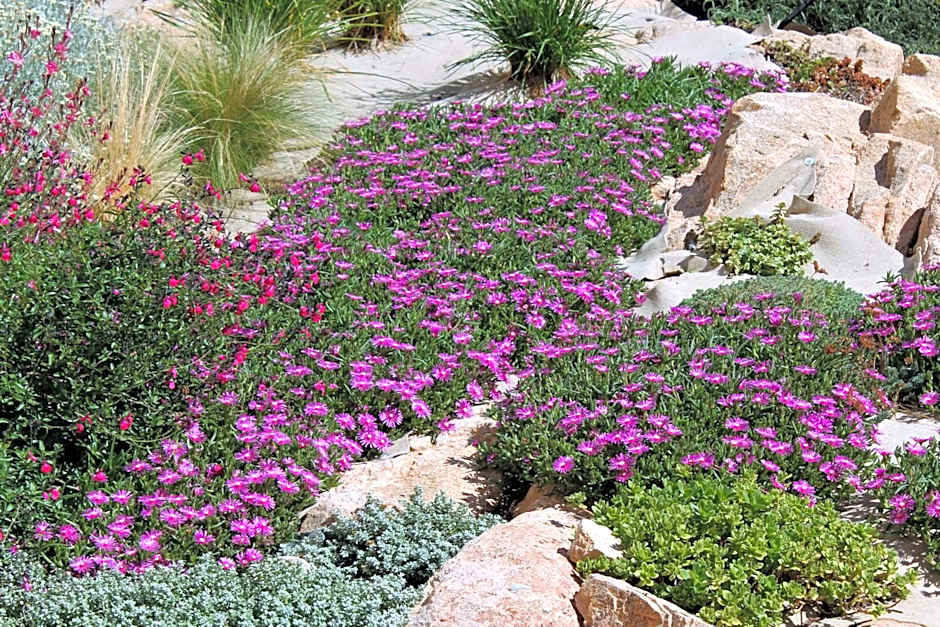 AHR Leonis Residence La Maddalena