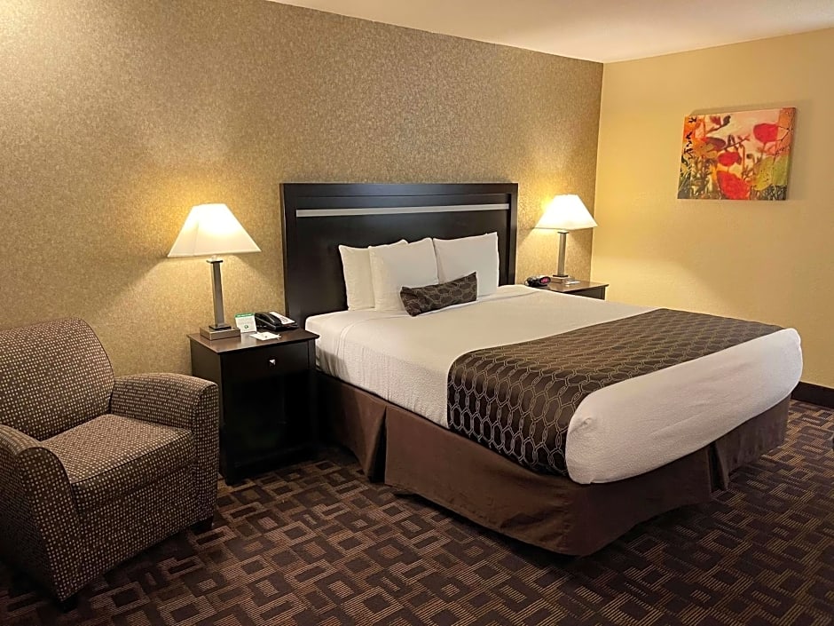 Best Western Plus Pleasanton Inn