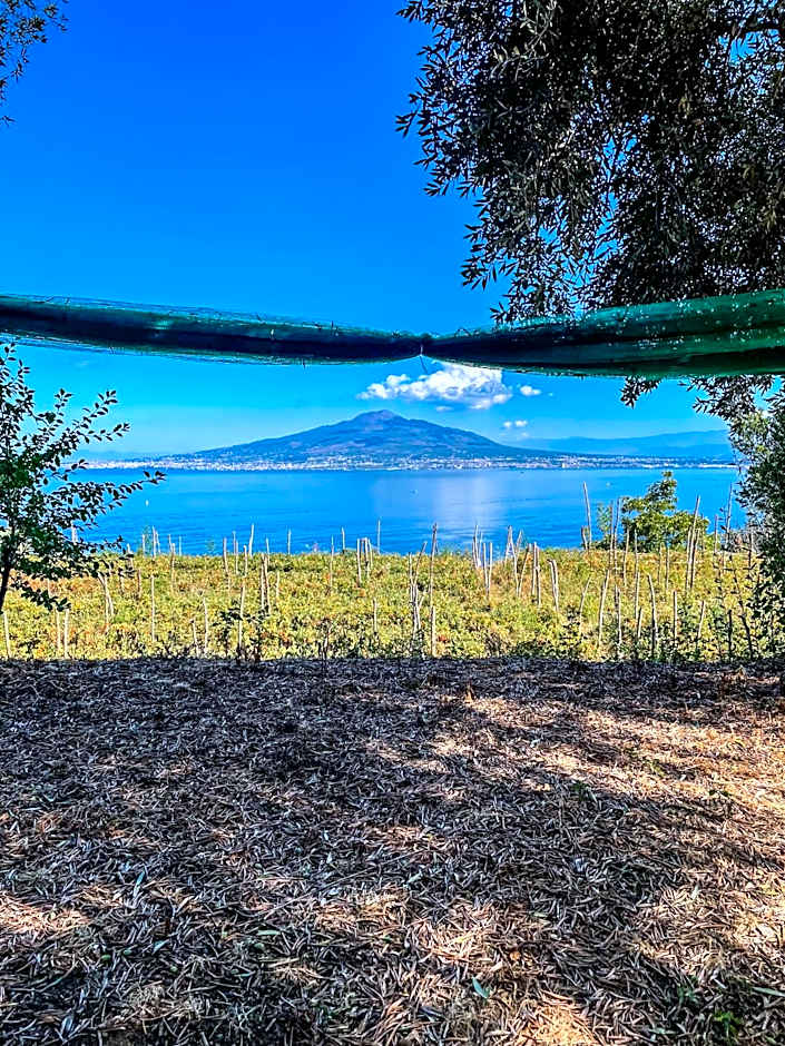 ANTICA TENUTA CELOTTO