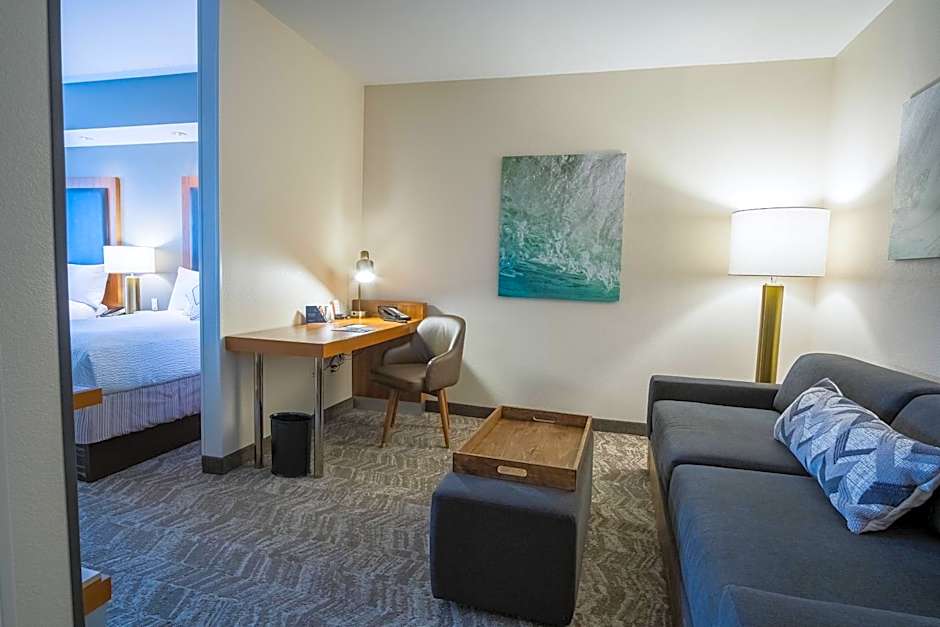 SpringHill Suites by Marriott Winston-Salem Hanes Mall