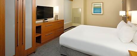 One-Bedroom King Suite with Sofa Bed