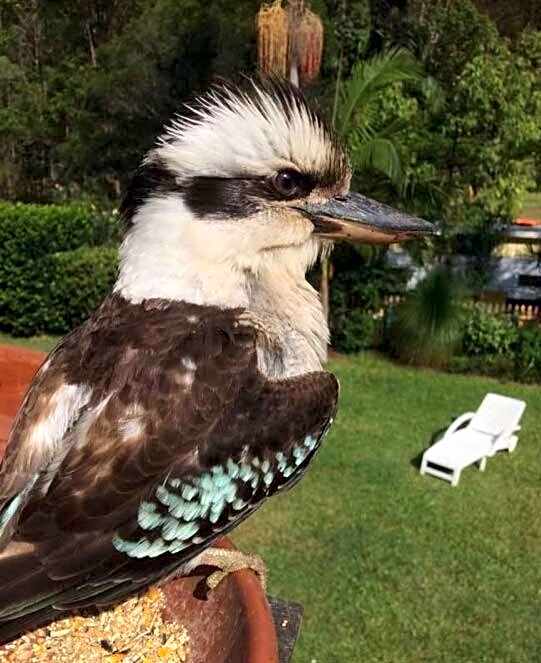 Riviera Bed & Breakfast