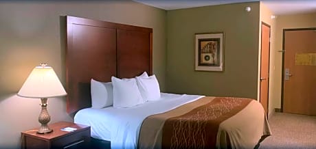 Queen Room with Roll-In Shower - Disability Access