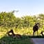 42@ Ditholo Game Lodge