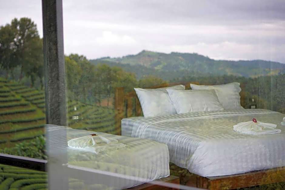 101 Tea Green View
