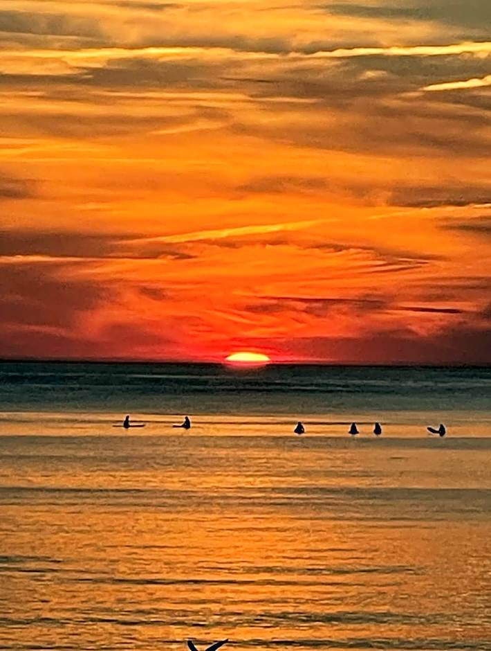 SURF HOUSE DREAMERS COAST