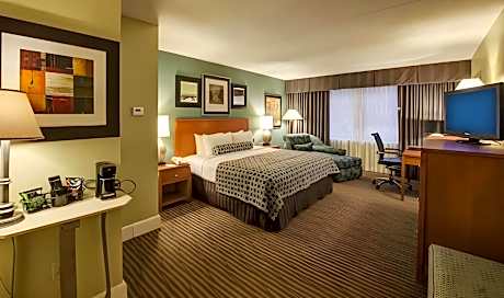 1 King Bed, One-Bedroom Suite, Non-Smoking