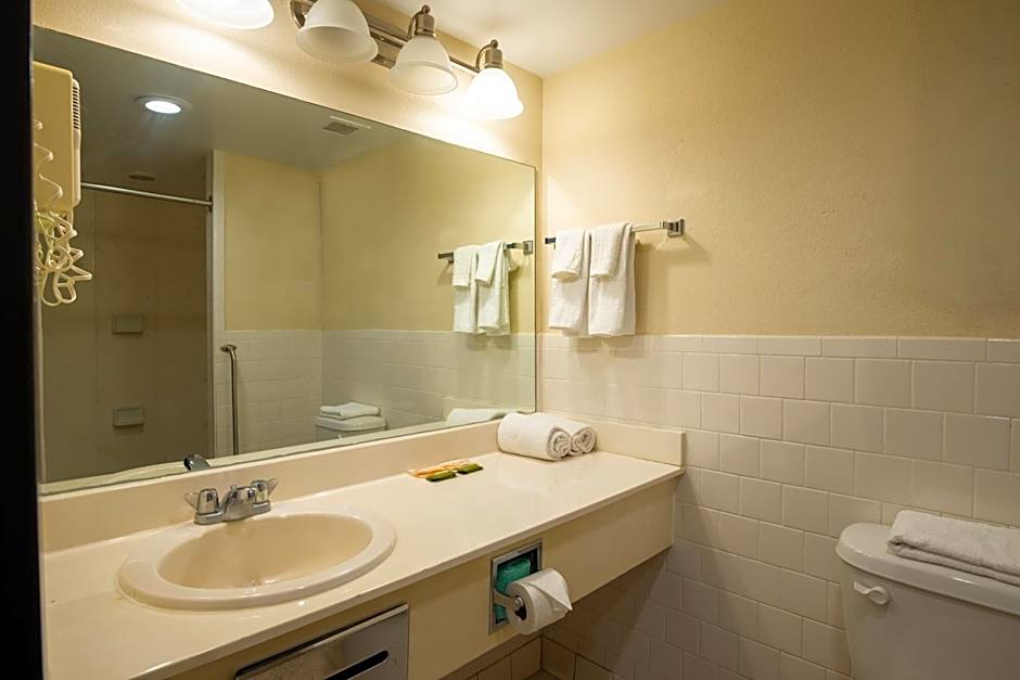 Dominion Inn and Suites