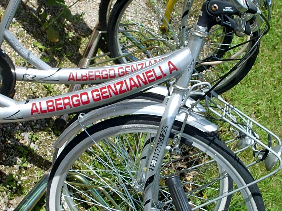 Hotel Genzianella