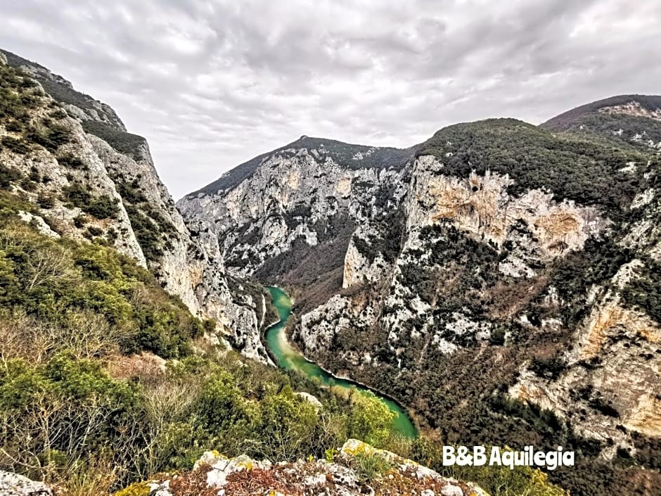 B&B Aquilegia