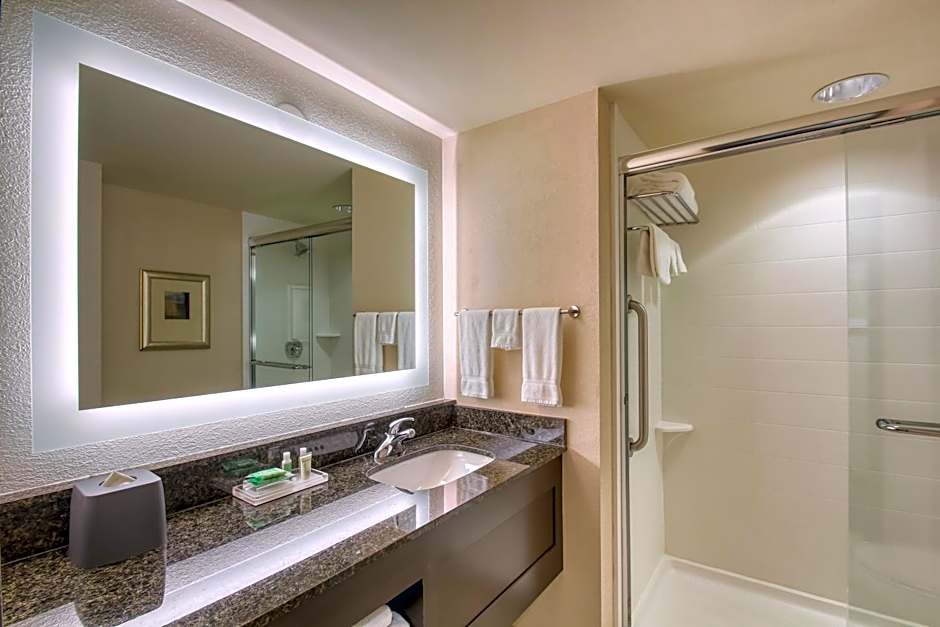 Holiday Inn & Suites Atlanta Airport North By IHG