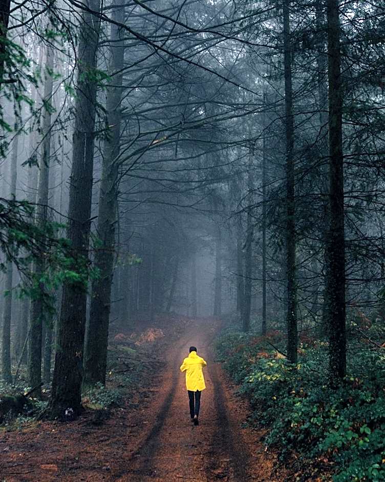 Loire Valley Lodges - Hotel