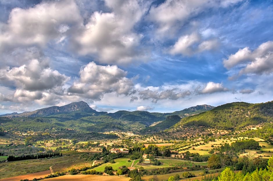 Finca Hotel Son Pont