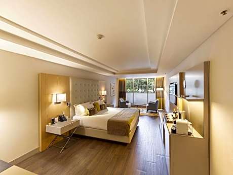 Deluxe King Suite with Park View - Mobility Accessible