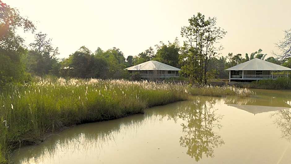 Tree of Life Ramvilas, Bandhavgarh