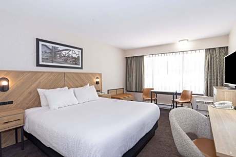 Standard Room, 1 King Bed