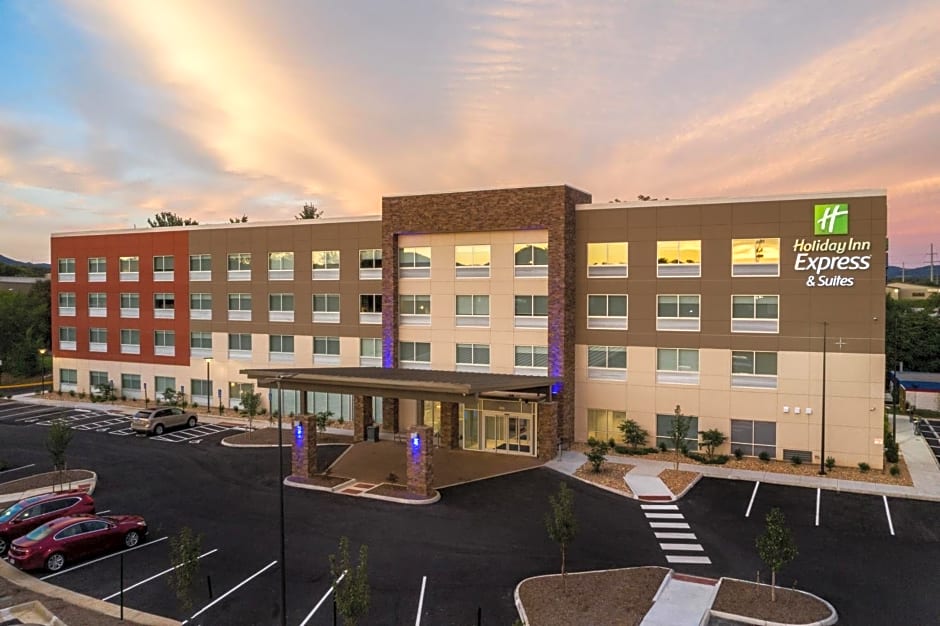 Holiday Inn Express & Suites Roanoke - Civic Center