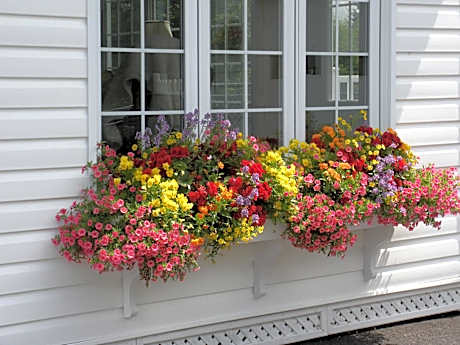 Côté's Bed & Breakfast