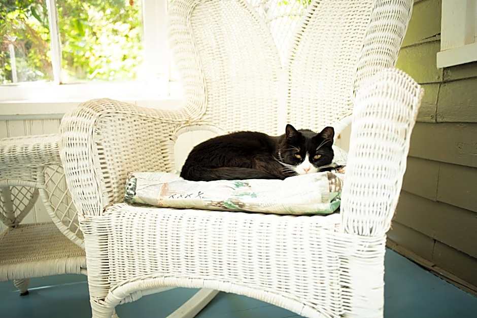 Black Walnut Bed and Breakfast
