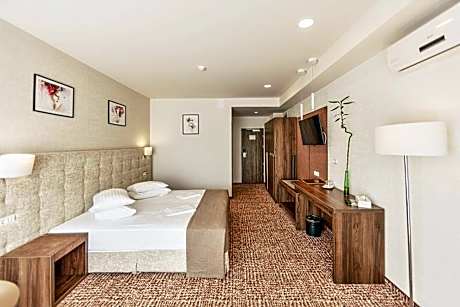 Superior Double or Twin Room Grand Belvedere