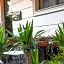 Almina inn hotel