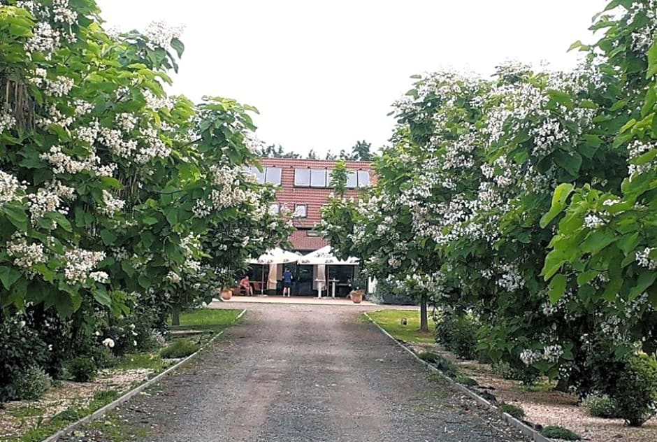 Caballus Lovasmajor Panzió